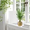 1pc Plant Pot Golden Vase Metal Flower Pot Vase with Drainage Hole
