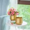 1pc Plant Pot Golden Vase Metal Flower Pot Vase with Drainage Hole