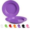 Semi Melamine Dinner Plates